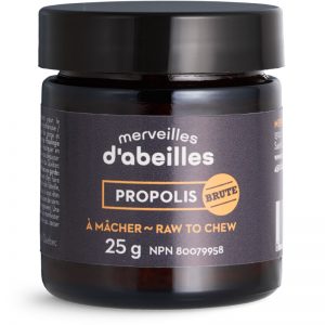 Propolis brute du Québec 25g à mâcher Merveilles d'abeilles face