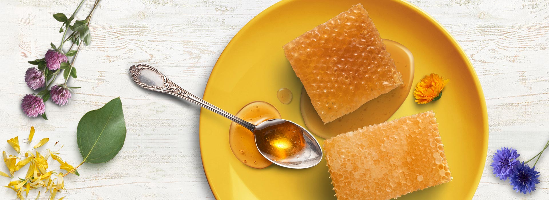 Rayons de miel - Merveilles d'abeilles