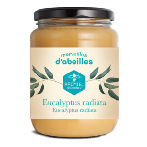 Aromiel Eucalyptus radiata