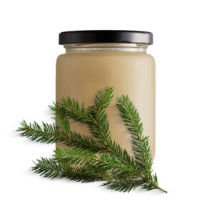 Aromiel de sapin baumier du Québec (Abies balsamea)