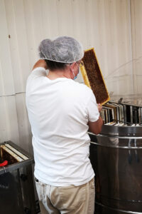 Remplissage de l'extracteur à miel de cadres de ruche